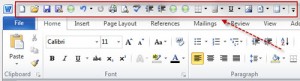 MS Word Microsoft